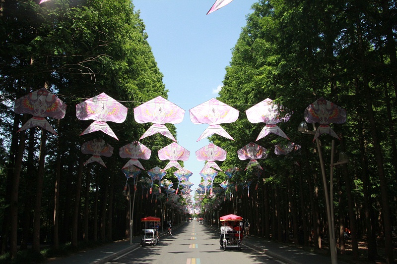 IMG_3565_看图王