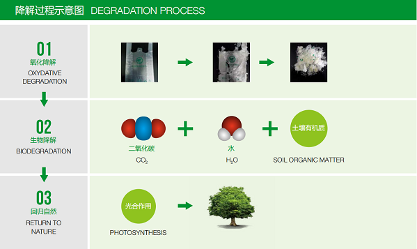 降解过程示意图