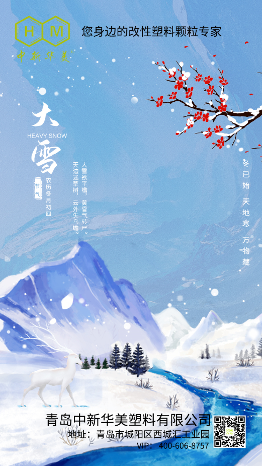 今日大雪--青岛中新华美塑料有限公司